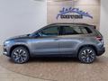 Daumennagel 3 - Skoda Karoq 1,5TSI DSG 18*Alu/aAHK/ACC/Kamera/Winterp.       **