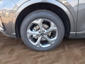 Daumennagel 15 - Ford Kuga ST-Line 2.5 Plug-in-Hybrid aAHK/Keyless/Winterp/LED/Navi  **