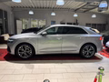 Daumennagel 2 - Audi Q8 50 TDI quattro S-LINE*AHK/STANDHEIZ.*
