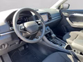 Daumennagel 16 - Skoda Karoq 2.0 TDI DSG 4x4 Drive, ACC, AHK, ACC, Navi, Kamera, El.Heckklappe, ....