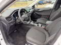 Daumennagel 11 - Ford Kuga 2.5 Duratec PHEV TITANIUM LED NAVI 360°Cam
