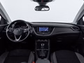 Daumennagel 11 - Opel Grandland Innovation /KAM/NAVI/LED/SHZ/
