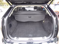 Daumennagel 10 - Ford Edge Sport 4x4 8-Fach bereift