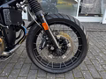 Daumennagel 9 - BMW R nine T Urban GS Akkrapovic
