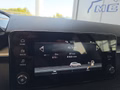 Daumennagel 34 - Skoda Fabia 1,0TSI DSG 5*J.Gar/LED/Winterp/Temp.   **
