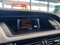 Daumennagel 19 - Audi A4 Avant quattro S-Line BANG&OLUFSEN|STANDHEIZUNG|