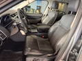 Daumennagel 9 - Land Rover Discovery 5 HSE TD6 AHK PANORAMA 7Sitzer