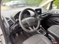 Daumennagel 11 - Ford EcoSport 1.0 EcoBoost Titanium PDC/LED/SZH