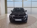 Daumennagel 8 - Skoda Karoq 1,5TSI DSG 4*J.Gar/aAHK/Kamera/Kessy/Winterp.  **