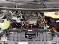 Daumennagel 14 - Ford E-Transit Custom 340 L2H1 PKW HA Trend Klima hi