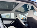 Daumennagel 11 - Tesla Model 3 Performance Dual AWD Langstreckenver.