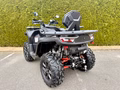 Daumennagel 3 - Segway Snarler 1000 AT10 DLX ABS T-Box, Heizung