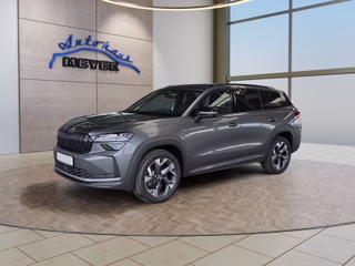 Skoda Kodiaq age.one-day registration Kaufen