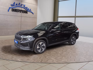 Skoda Kodiaq age.one-day registration Kaufen