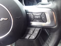 Daumennagel 13 - Ford Mustang GT Convertible