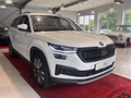 Daumennagel 8 - Skoda Kodiaq Tour  AHK/CAR-PLAY