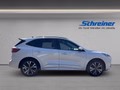 Daumennagel 6 - Ford Kuga Plug-In Hybrid ST-Line X