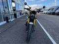 Daumennagel 9 - Triumph Scrambler 900 MY26 Sofort Verfügbar!