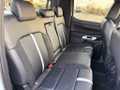 Daumennagel 12 - Ford Ranger 2,3 l EcoBoost DoKa. PHEV Stormtrak