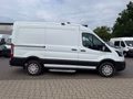 Daumennagel 6 - Ford Transit Kasten 350 L2H2 Limited/Kamera/AHK/PDC