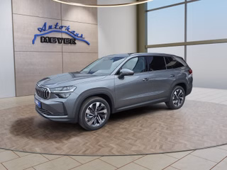 Skoda Kodiaq age.one-day registration Kaufen