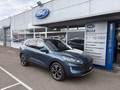 Daumennagel 1 - Ford Kuga Plug-In Hybrid Titanium - Pano.Schiebedach - Elektr.Heckkl.- AHK - 19 Zoll - Top