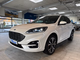 Ford Kuga Gebrauchtwagen Kaufen