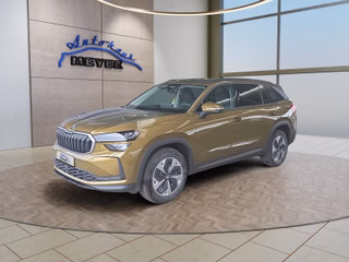 Skoda Kodiaq age.one-day registration Kaufen
