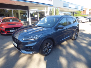 Ford Kuga Gebrauchtwagen Kaufen