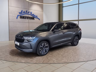 Skoda Kodiaq age.one-day registration Kaufen