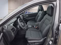 Daumennagel 10 - Nissan Qashqai Tekna+ 1,3 DIG-T Xtronic UPE=48500 Euro **