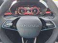 Daumennagel 19 - Skoda Fabia Monte Carlo 1,0TSI DSG 5*J.Gar/LED/Winterp/Temp.    **