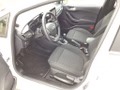 Daumennagel 12 - Ford Fiesta 1.0 EcoBoost Hybrid S&S TITANIUM Winter