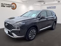Daumennagel 1 - Hyundai SANTA FE 1.Hand, Checkheft, Panoramaschiebedach, MwSt. ausweisbar