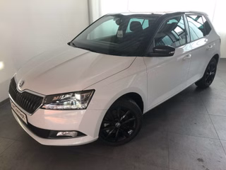 Skoda Fabia Gebrauchtwagen Kaufen