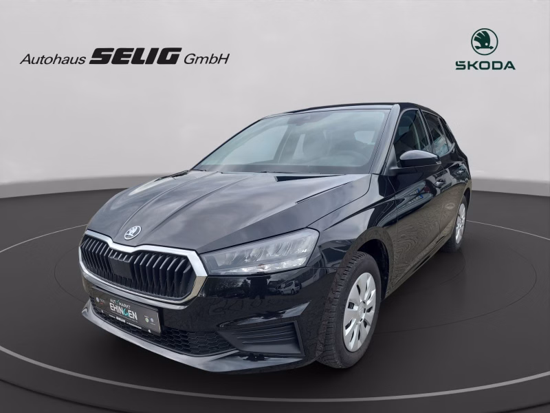 Skoda Fabia Active 1.0 65 PS, SH,SmartLink,Klimaanlage,PDC,
